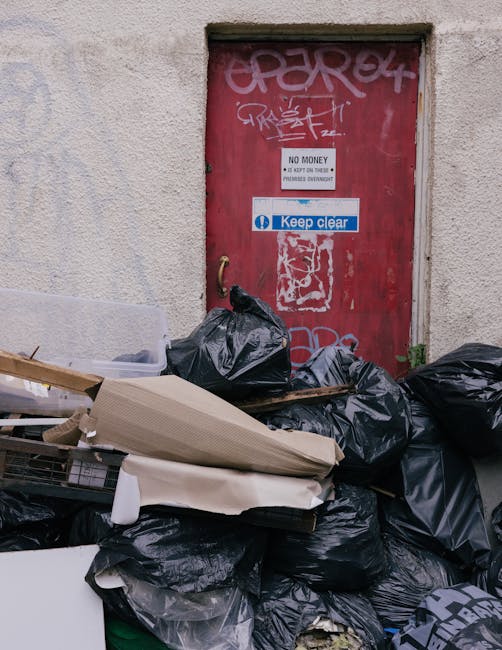 Same day rubbish clearance in Putney what to expect